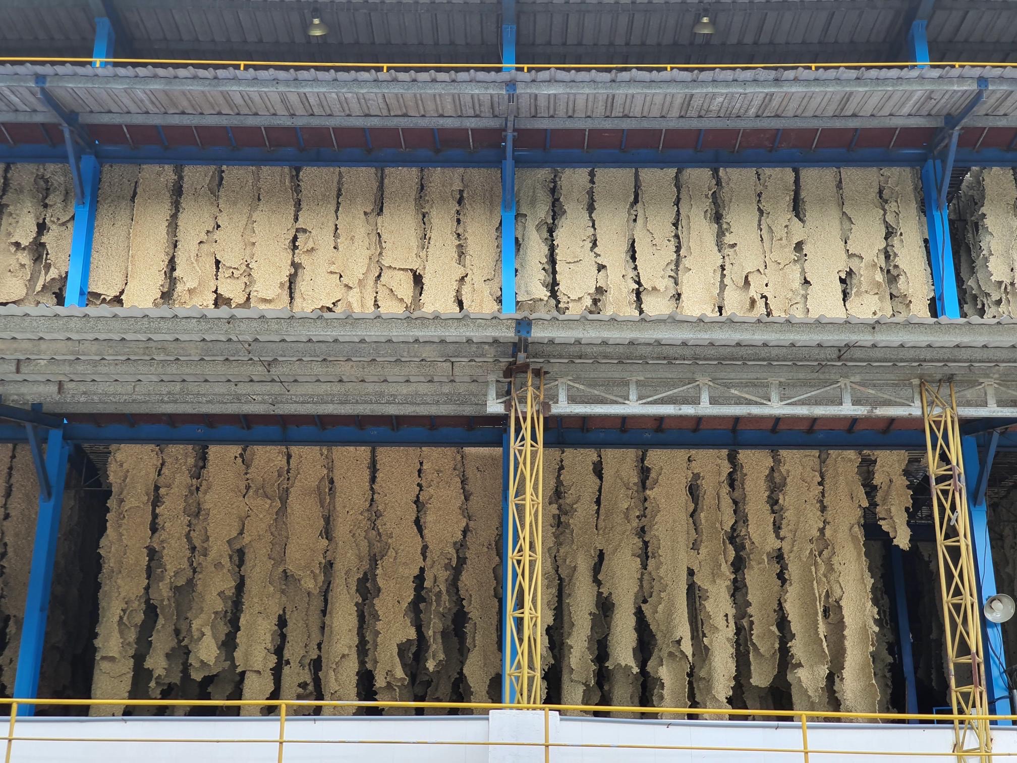 TSR20 - Cao su công nghiệp Huy Anh Rubber